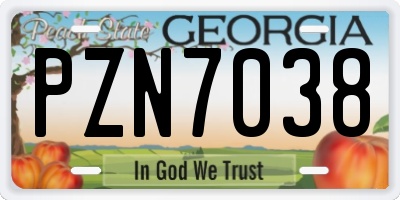 GA license plate PZN7038