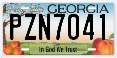 GA license plate PZN7041