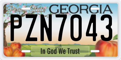 GA license plate PZN7043