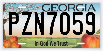 GA license plate PZN7059