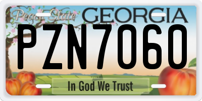 GA license plate PZN7060