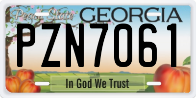 GA license plate PZN7061