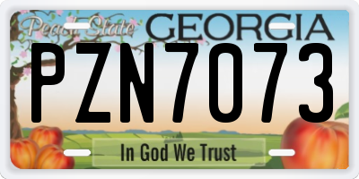 GA license plate PZN7073