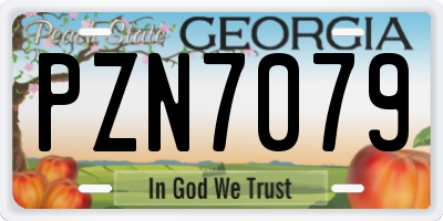 GA license plate PZN7079