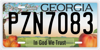 GA license plate PZN7083