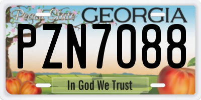 GA license plate PZN7088