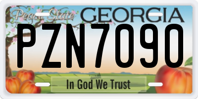 GA license plate PZN7090
