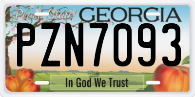 GA license plate PZN7093