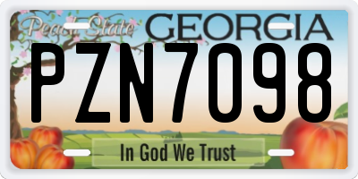 GA license plate PZN7098