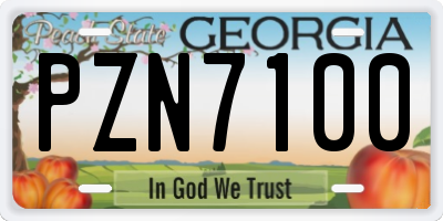 GA license plate PZN7100