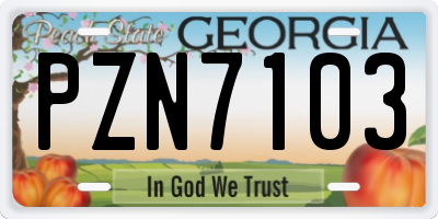 GA license plate PZN7103