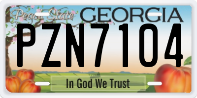 GA license plate PZN7104