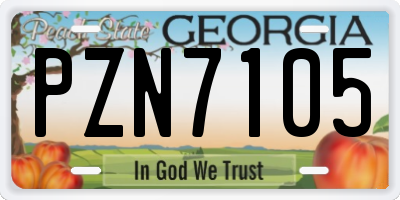 GA license plate PZN7105