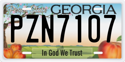 GA license plate PZN7107