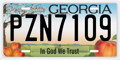 GA license plate PZN7109