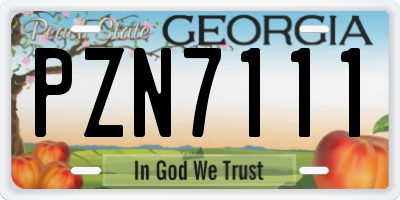 GA license plate PZN7111