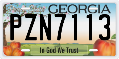 GA license plate PZN7113