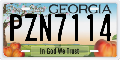 GA license plate PZN7114