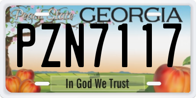 GA license plate PZN7117