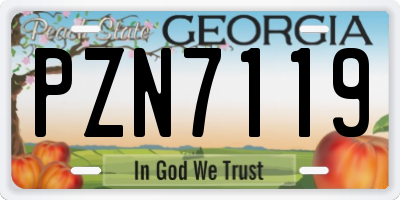 GA license plate PZN7119