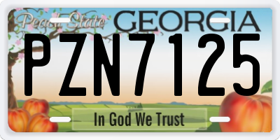 GA license plate PZN7125