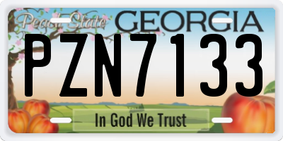 GA license plate PZN7133