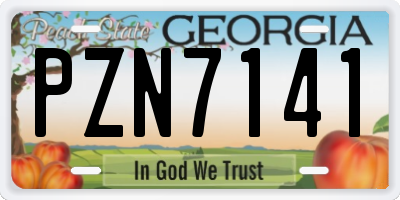 GA license plate PZN7141