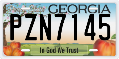 GA license plate PZN7145