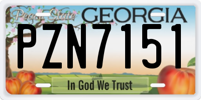 GA license plate PZN7151