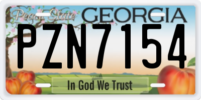 GA license plate PZN7154
