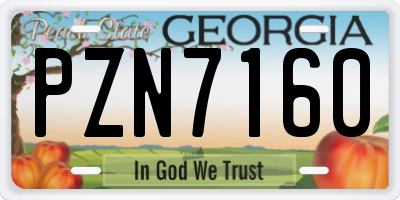 GA license plate PZN7160