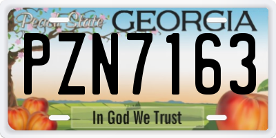 GA license plate PZN7163
