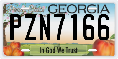 GA license plate PZN7166