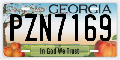 GA license plate PZN7169