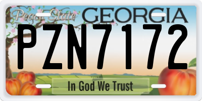 GA license plate PZN7172