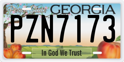 GA license plate PZN7173