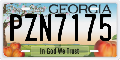 GA license plate PZN7175