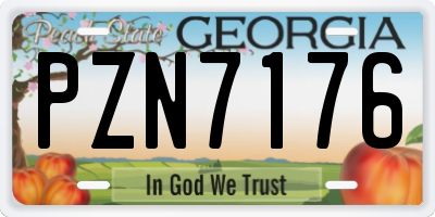 GA license plate PZN7176