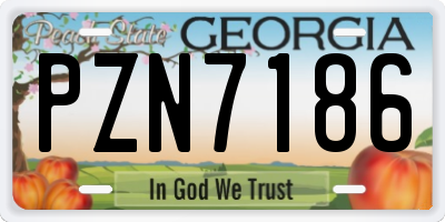 GA license plate PZN7186