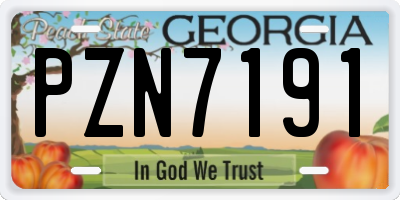 GA license plate PZN7191