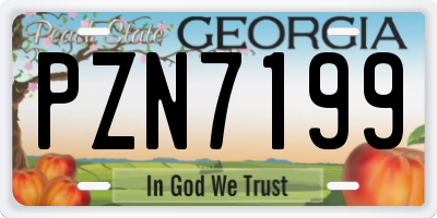 GA license plate PZN7199