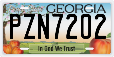 GA license plate PZN7202
