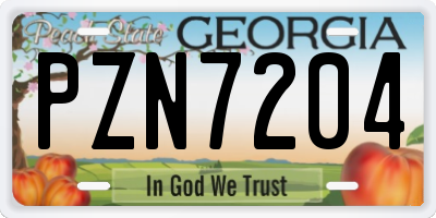 GA license plate PZN7204