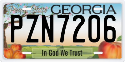 GA license plate PZN7206
