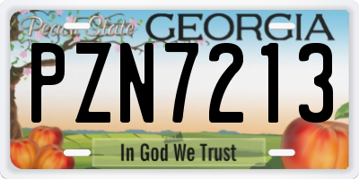 GA license plate PZN7213