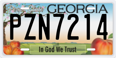 GA license plate PZN7214