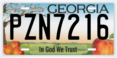 GA license plate PZN7216