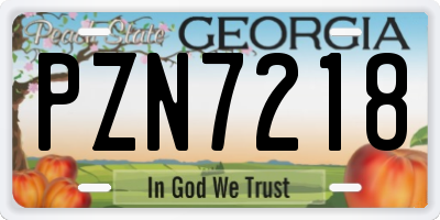 GA license plate PZN7218