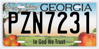 GA license plate PZN7231