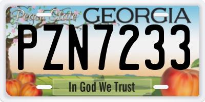 GA license plate PZN7233